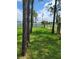 Grass yard with pine trees, behind a chain link fence at 8052 Sugar Pine Blvd, Lakeland, FL 33810