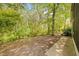 Wooded backyard with a large tree at 32334 Oak Park Dr, Leesburg, FL 34748