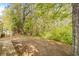 Wooded backyard with a concrete patio at 32334 Oak Park Dr, Leesburg, FL 34748