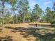 Backyard view of a house nestled among tall pine trees at 748 Mcclellan Rd, Frostproof, FL 33843
