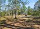 Backyard with tall pine trees, a fire pit, and a glimpse of the house at 748 Mcclellan Rd, Frostproof, FL 33843