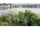 Lush backyard landscaping bordering a large pond, creating a serene atmosphere at 4018 Sundance Place Loop, Mulberry, FL 33860