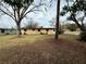 Backyard view of the home with large trees at 122 8Th Se St, Fort Meade, FL 33841