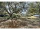 Large backyard with mature trees and an in-ground pool at 1317 W Belmar St, Lakeland, FL 33815