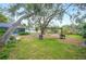 Relaxing backyard with hammock, spacious lawn, and mature trees at 1423 Royal Forest Loop, Lakeland, FL 33811