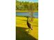 Sandhill crane in a tranquil backyard setting at 1915 Pristine Loop, Lakeland, FL 33811