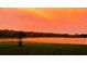 Scenic sunset view over a tranquil lake, surrounded by lush greenery at 1915 Pristine Loop, Lakeland, FL 33811