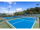 Two well-maintained blue pickleball courts at 4308 Whistlewood Cir, Lakeland, FL 33811