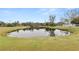 Picturesque pond, surrounded by grass and trees at 4312 Glenview Dr, Lakeland, FL 33810