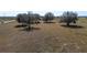 Dry, grassy farmland with a few large trees at 7275 Lake Hendry Rd, Fort Meade, FL 33841