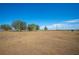 Open farmland with trees and a distant view at 7275 Lake Hendry Rd, Fort Meade, FL 33841