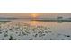 Sunrise view over lake covered with lily pads at 739 Swann Dr, Lakeland, FL 33809