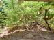 Landscaped backyard with a lush natural setting at 2907 Marion Way # 2907, Haines City, FL 33844