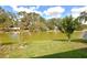 Scenic backyard view features a serene pond, lush green grass, and mature trees, creating a tranquil outdoor space at 4932 St James St, Winter Haven, FL 33881
