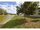 Lakeside backyard features a serene pond, lush green grass, and mature trees, creating a tranquil outdoor space at 4932 St James St, Winter Haven, FL 33881