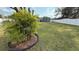 Large backyard with a grassy lawn, privacy fence, and a palm tree at 515 Crevasse St, Lakeland, FL 33805