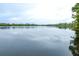 Scenic view of the lake offering tranquil scenery with green trees in background at 6962 Starmount Dr, Lakeland, FL 33810