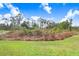 View of a backyard featuring a green lawn leading to a natural wooded area at 116 Ocean Bluff Dr # 116, Kissimmee, FL 34759