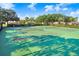 Well-maintained outdoor tennis courts with lush green surroundings at 116 Ocean Bluff Dr # 116, Kissimmee, FL 34759