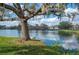 Scenic pond view featuring a large tree, lush greenery, and wildlife at 2038 Winterset Dr # 2038, Lakeland, FL 33813