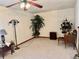 Spacious living room with carpet, plants, and vintage decor at 209 Ann Ave, Dundee, FL 33838