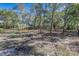 Beautiful lot with mature trees in a serene setting, ready for your dream home at 5908 Lunn Rd, Lakeland, FL 33811