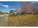 View of the backyard showing the chain link fence and mature trees at 602 E Orange St, Auburndale, FL 33823