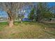 This backyard is fenced and has mature trees at 602 E Orange St, Auburndale, FL 33823