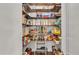 Walk-in pantry with plentiful shelving for organized storage at 6942 Indian Creek Park Dr, Lakeland, FL 33813