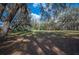 Large, open backyard with mature trees providing ample shade, perfect for outdoor activities and relaxation at 4075 Davis Rd, Mulberry, FL 33860