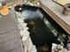 Relaxing backyard koi pond featuring a variety of koi fish at 6615 Broken Arrow S Trl, Lakeland, FL 33813