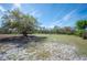 Picturesque view of a green field and surrounding fence under a clear blue sky at 6615 Broken Arrow S Trl, Lakeland, FL 33813