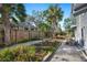 Cozy backyard featuring a wooden fence, mature palm trees, and a tranquil concrete patio at 815 Success Ave, Lakeland, FL 33801