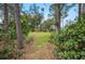 Backyard view through the shrubbery showing the grassy area in the distance at 15 Tera Ln, Winter Haven, FL 33880