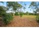 Picture of lush greenery and a big backyard, perfect for enjoying the outdoors at 15 Tera Ln, Winter Haven, FL 33880