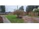 The backyard features partial landscaping with a combination of grass and rocks at 2521 Coral Way, Lakeland, FL 33801