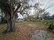 Spacious backyard with a large tree, providing ample shade and a peaceful atmosphere at 475 W Ethelene St, Bartow, FL 33830