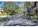 Beautiful tree lined neighborhood street on a sunny day at 949 Success Ave, Lakeland, FL 33801