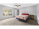 Bright bedroom featuring a ceiling fan, carpet, and large windows at 1526 Country Chase St, Lakeland, FL 33810