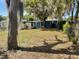 Expansive backyard with mature trees, shed, and blue single-story home at 309 Lake Dale Dr, Auburndale, FL 33823