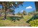 The backyard is large and grassy with mature trees providing plenty of shade at 29 Buck Cir, Haines City, FL 33844