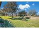 Expansive backyard with lush lawn, mature trees, and vibrant greenery under a bright blue sky at 29 Buck Cir, Haines City, FL 33844