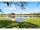 Scenic backyard pond surrounded by lush greenery and trees, providing a serene atmosphere at 507 Eagle Pond Dr # 507, Winter Haven, FL 33884