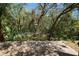 Beautiful backyard patio featuring a view of the lush green trees at 6329 Torrington Cir, Lakeland, FL 33811