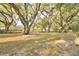 Lush backyard featuring mature trees, providing shade and a serene setting, and a well maintained fence line at 1 Lake Eloise Ln, Winter Haven, FL 33884
