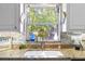 Close-up of kitchen sink with natural light, granite countertops, and decorative accents at 2020 Indian Trl, Lakeland, FL 33813