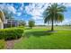 Backyard view of tropical palm tree and screened-in lanai overlooking the golf course at 2900 Grasslands Dr, Lakeland, FL 33803