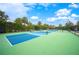 Community pickleball courts perfect for recreational games and friendly competition at 2900 Grasslands Dr, Lakeland, FL 33803