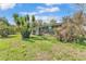 Charming single-story brick home with green shutters and mature tropical landscaping at 3995 Townley Dr, Mulberry, FL 33860