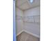 Walk-in closet with carpeted flooring and installed shelving for optimal storage at 4066 Tullamore Ln, Auburndale, FL 33823
